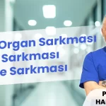 Pelvik Organ Sarkması Rahim Sarkması - Mesane Sarkması