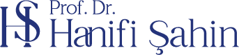 Prof. Dr. Hanifi Şahin