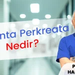 Plasenta Perkreata Nedir