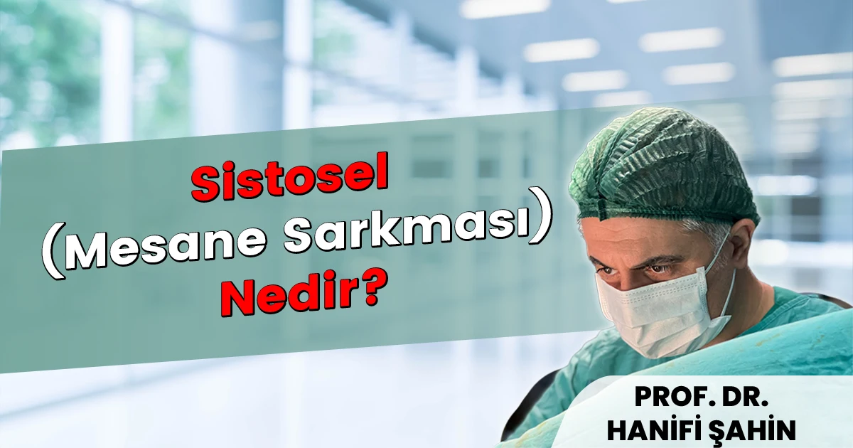 Sistosel Nedir