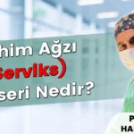 Rahim ağzı (serviks) kanseri belirtileri, nedenleri ve 2026 güncel tedavi yöntemleri — Prof. Dr. Hanifi Şahin